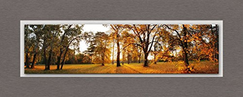 Eurographics Glasbild, Bunt, TLG-DT40031 Beautiful Autumn 50 x 125 cm