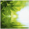 ARTland Wanddeko Glasbilder Wandbild Glas Bild einteilig Quadratisch Natur Wald See Pflanzen Wasser Baum Blätter T5TM
