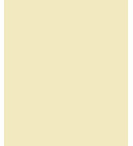 Brunnen 5 x Universalpapier A4 120g Chamois VE=35 Blatt