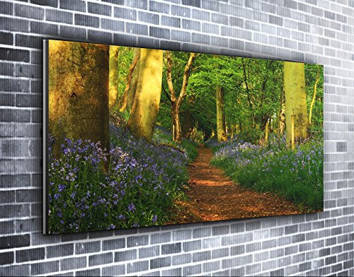 Forest Footpath Panoramic Canvas Print Original Wall Art Framed XXL 55 inch x 24 inch Over 4.5 ft wide x 2 ft high Ready to Hang