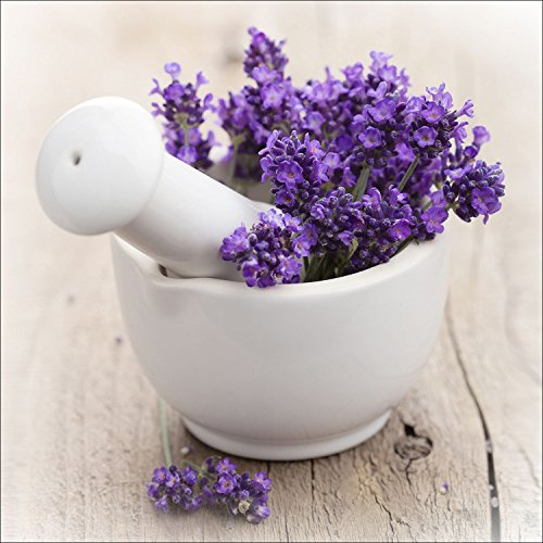 Pro-Art gla730b Wandbild Glas-Art Lovely lavender III, 50 x 50 cm