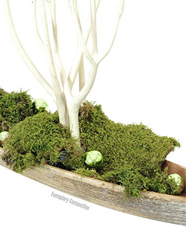 Euro Palms 8350129X Dekokugel 3,5 cm glänzend 48x, hellgrün