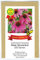 Roter Sonnenhut - Echinacea purpurea - Bienenweide - Zier- / Arzneipflanze - 200 Samen