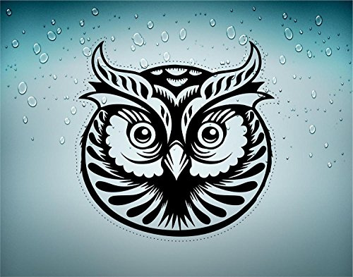 Akachafactory Aufkleber Sticker Auto Motorrad Tuning Decoration Eulen Eule Kinderzimmer R2