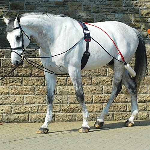 John Whitaker Roller Training System with Adjustable Roller and Ropes, Sheepskin Padded, Blue, One Size, for Muscle Development and Proper Positioning