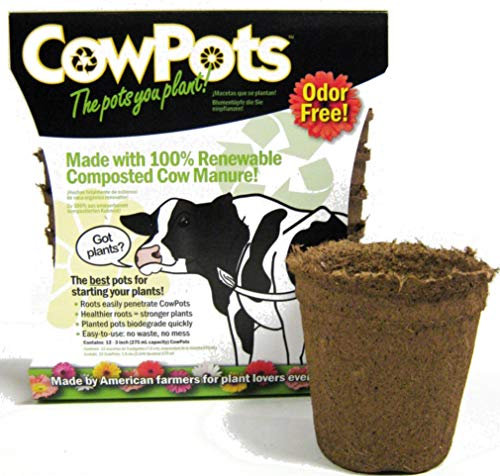 CowPots 7,6 cm Round Vache Pot de Fleurs Pot de Fleurs (Lot de 12)