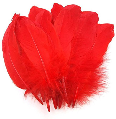 maDDma 20 Enten-Federn 15-21cm Bastelfedern Federn f. Basteln Dekoration Hüte Kostüme, Farbe:rot