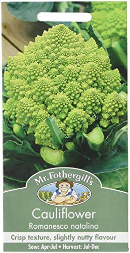Mr Fothergill's Cauliflower Romanesco natalino