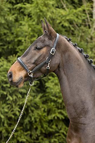 Kieffer Leder-Stallhalfter Ultrasoft®