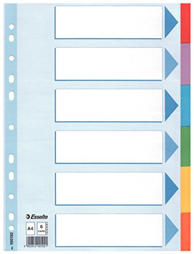 Esselte CF20 Inter Calar Carton 6 Tcolors A4