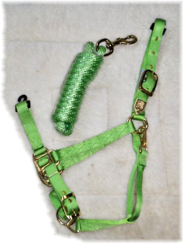Hamilton Nylon-Halfter mit verstellbarem Kinn, 2,5 cm, Average, 800-1100 Pounds, lindgrün