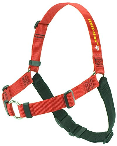 Erziehungsgeschirr für temperamentvolle Hunde â€“ Das SENSEation Harness Erziehungshalsband für Hunde, die stark an der Leine ziehen â€“ Anti Zieh ! (Rot, ML 2.5cm)