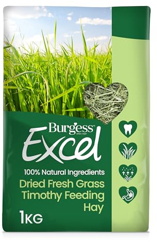 Burgess Excel Forage Dried Grass, 1 kg