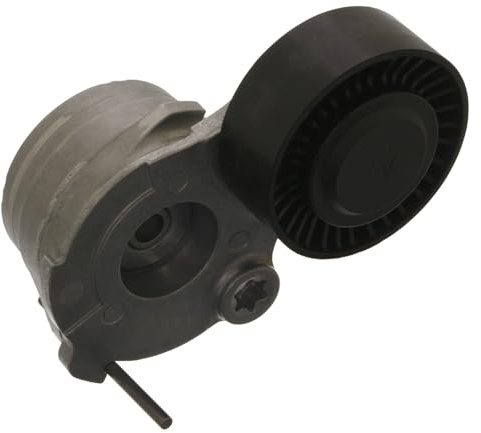 SWAG Riemenspanner Keilrippenriemen für A5 A6 Touareg 3.0L 59903133J | Kompatibel mit: AUDI A4 Allroad B8, A4 B8, A4 B8 Avant, A5, A5 Cabriolet, A5 Sportback, A6 Allroad C7, A6 C7, A6 C7 Avant