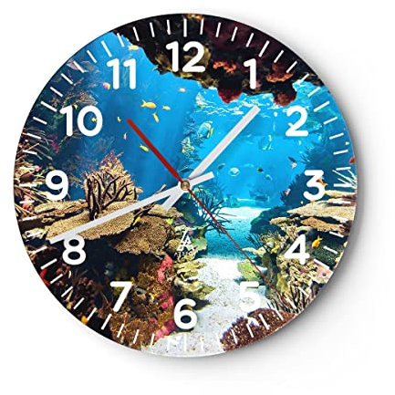 Modern Wanduhr Ozean Riff Fische Koralle 30x30cm Rund Klein Wand Uhr Glas Analog Zimmeruhren Küche Büro Wohnzimmer Glasuhr Wall Clock Dekoration Design Wanddekoration Küchenuhr C4AR30x30-2872