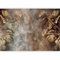 murando - Papier peint panoramique nature 350x256 cm - Revêtement mural décoration salon - Design moderne - Gris beige rouge - Feuilles les plantes contexte texture abstraction b-C-0859-a-a