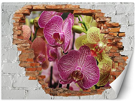 Feeby Papier Peint Intissé abstraction nature trou dans le mur 450x315 cm violet XXL Moderne Décoration Murale Tableaux Muraux Déco Tapisserie pour Salon Chambre à coucher Bureau Orchidées Fleur