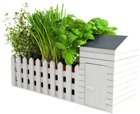 Parcela de Interiores - Semillas Albahaca, Cilantro y Orégano, Tijeras y Macetas de Plantas