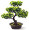 AMITD Bonsai Baum Künstlich,Künstliche Grün Bonsai Kunstpflanze mit Brown Topf, Tischdeko für Hochzeit/Büro/Zuhause Dekoration Green,C1