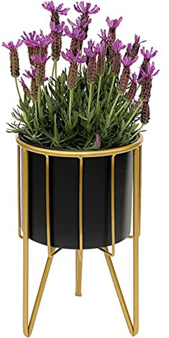 DanDiBo Blumenhocker mit Topf Metall Gold Schwarz Rund S 32 cm Blumenständer 96039 Blumensäule Modern Pflanzenständer Pflanzenhocker