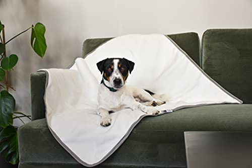 Sleepy Fox Snuggle Blanket for Cats and Dogs with Sherpa Fleece Lining (Classic Grey, Medium 90 x 100cm)