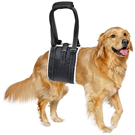 Adjustable Dog Lifting Harness with Anti-slip Buckle, Support and Rehab Harness for Weak Rear Legs, Soft Sling Assist The Dog Who are Senior, Injured, Disabled and After ACL Surgery Rehabilitation (L)