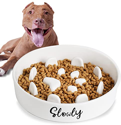Slow Feeder Dog Bowls, Farmhouse Ceramic Fun Slow Eater Bowl for Small Medium Breed, White