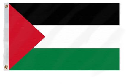 Flagmax Palestine Flag 5ft x 3ft (150cm x 90cm) with Eyelets - Durable Palestinian Flag for Indoor and Outdoor Use - Flag of Palestine for Home, Office, or Events
