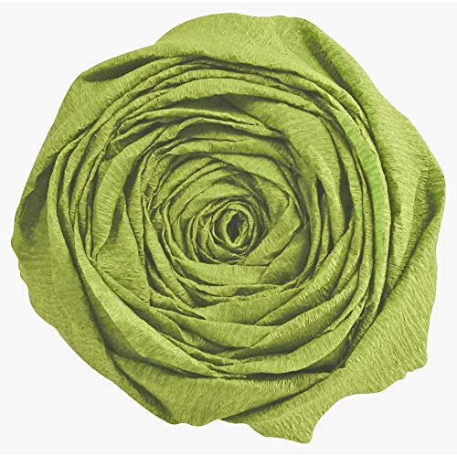 Clairefontaine 903055C Packung mit 10 Bögen Krepppapier, 2,5 x 0,5m, ideal für kreativen Hobbies, 1 Pack, moosgrün