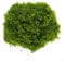Entgoinggo Realistic Artificial Moss Artifical Grass Moss For Hanging Baskets 3D Modeling Diorama Landscapes Wedding Table Indoor Planters(100g)