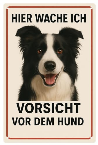 Blechschild „Hier wache ich – Vorsicht vor dem Hund“ – Border Collie Motiv – Klassisches Warnschild mit Hundeporträt im Vintage-Stil