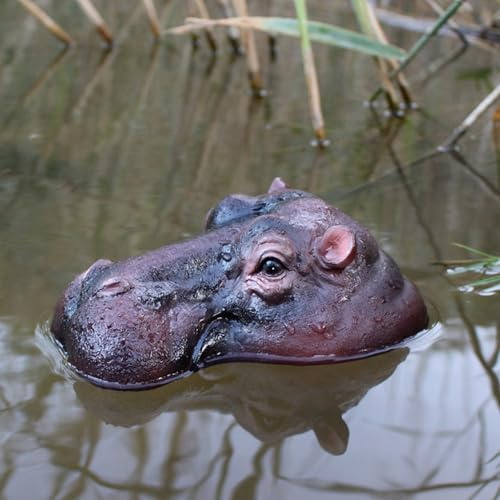 Kertaym Schwimmende Teichdeko Nilpferdköpfe, Realistische Gartenteich Deko Für Außenbereich, Teich Dekoration, Teichdeko Miniteich, Schwimmtier Zum Schutz Von Wasserflächen (A)