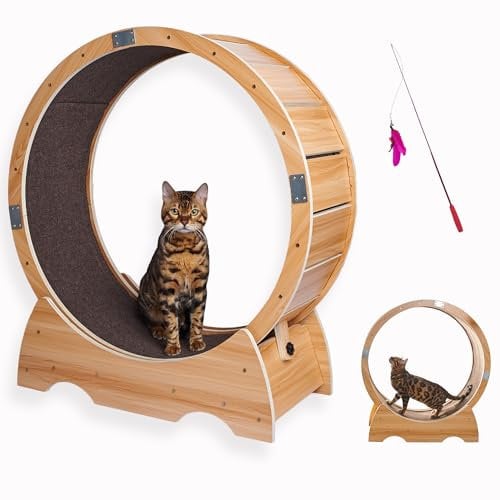 Ruota Per Gatti Per L'esercizio Fisico - Il Tapis Roulant Definitivo - Arredo Divertente Per Il Vostro Amico Felino - Accessori Per Gatti