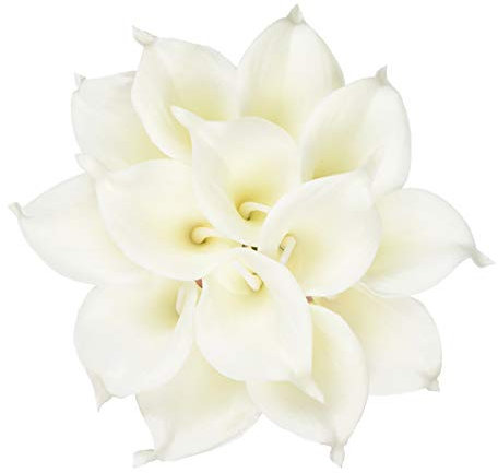 HoveBeaty Calla-Lilien, Brautstrauß, Hochzeit, Festival, Dekoration, Latex-Blumenstrauß, fühlt sich echt an, 20 Stück (reinweiß)