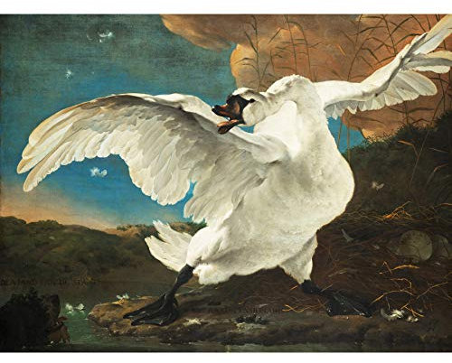FINE ART PRINTS Asselijn The Threated Swan Gemälde auf Leinwand, groß, XL