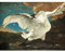 FINE ART PRINTS Asselijn The Threated Swan Gemälde auf Leinwand, groß, XL