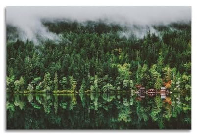 Landschaftsposter Green Nature Reflections Of Trees See And Trees Forest Poster Wall Art Print Retro Aesthetic Room Decor Office Decorations 12x18inch(30x45cm) Unframe-Stil