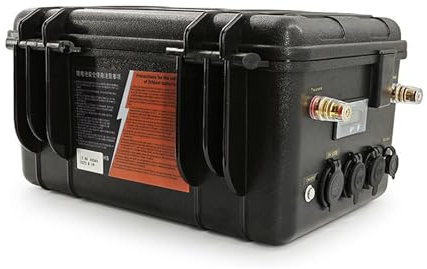 SSCYHT Lithium Battery 12V 24V 48V Ultra Light Waterproof High Power Outdoor Thruster Battery 60AH 80AH 100AH 120AH 150AH 200AH for Boat Motor,C 24V 60AH