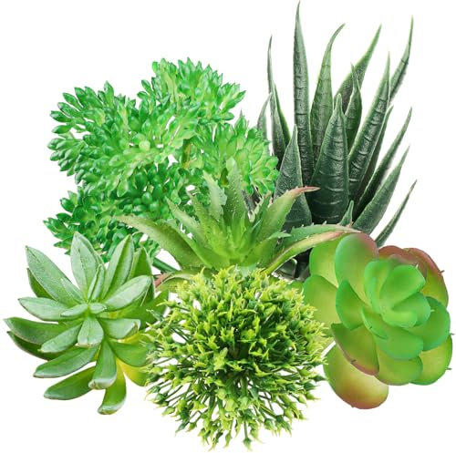 QUOZUO Lot de 6 mini plantes grasses vertes artificielles pour décoration de maison, mur, bureau (à l'exception des pots)