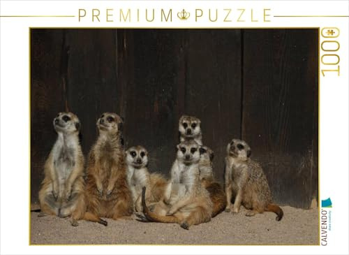 CALVENDO Puzzle Erdmännchen | 1000 Teile Lege-Größe 64 x 48 cm Foto-Puzzle für glückliche Stunden