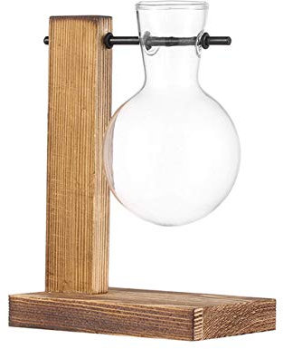 1PC Vetro e Legno Vaso terrario Tabella Desktop idroponica Fiore della pianta dei Bonsai vasi appesi Vintage Vaso di Vetro con Vassoio in Legno: Tipo 1-A
