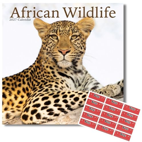 African Wildlife Kalender 2026 | Quadratischer Wandkalender | 16 Monate | mit Organisationsaufklebern