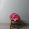 JOWOLLINA Spannbettlaken aus 100% Leinen Stonewashed (90 x 200+30 cm, Beeren)