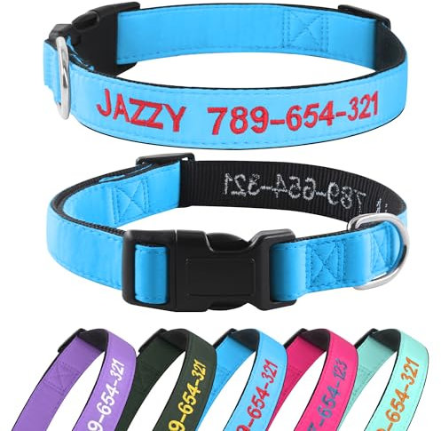 Hundehalsband Personalisiert mit Namen und Telefonnummer Bestickt für XS Kleine Mittlere Große Hunde(Blau)