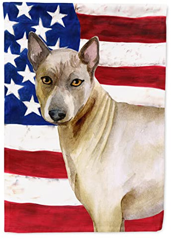Caroline's Treasures BB9680CHF Thai Ridgeback patriotische Hausflagge, große Veranda-Hülse, Stange, dekoratives Banner für den Außenbereich, Garten, Kunstwerk, Wandbehang, Polyester, Hausgröße,
