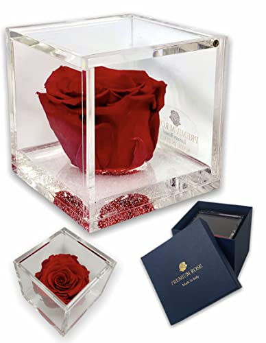PremiumRose Cubo Rosa Rossa Stabilizzata Profumata da 8 cm con Rosa Eterna Vera | Idea Regalo Mamma, Fidanzata, Amica, Idea Regalo per Compleanno, Laurea | Fatto a Mano in Italia (Rosso - S 1080)