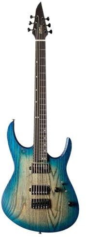 EART Guitars H6PRO Wenge Neck Solid Ash Body Compound Fingerboard Radius Heavy Metal Rock E-Gitarren