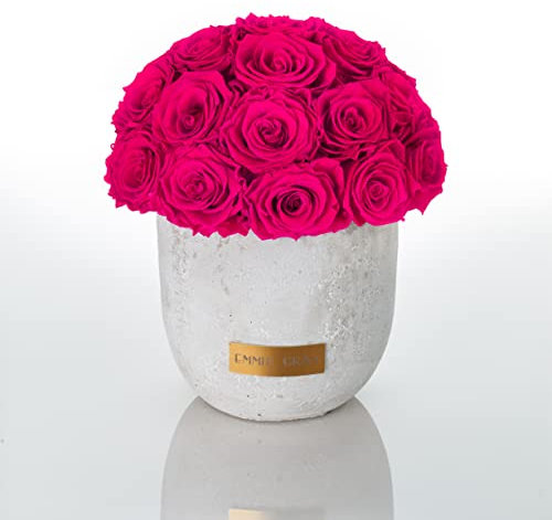 Solid Infinity Collection - Traumhafte Infinity Rosen, 1-3 Jahre haltbare Rosen, Betonvase mit echten, konservierten Rosen, edle Premiumrosen - Größe M (Hot Pink)