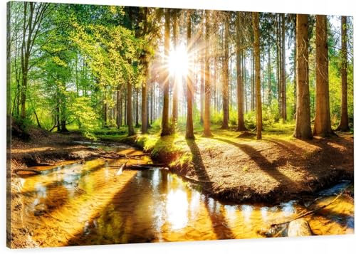 HUBDECO Leinwandbild - Wald Sonne, 100x70 cm, Modern, Querformat, Wandmontage, Wohnzimmer, Schlafzimmer
