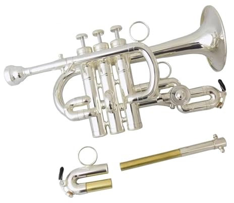 Bb/A Piccolo-Trompete Musikinstrumente Gebürsteter Messingkörper Mit Koffer(C)